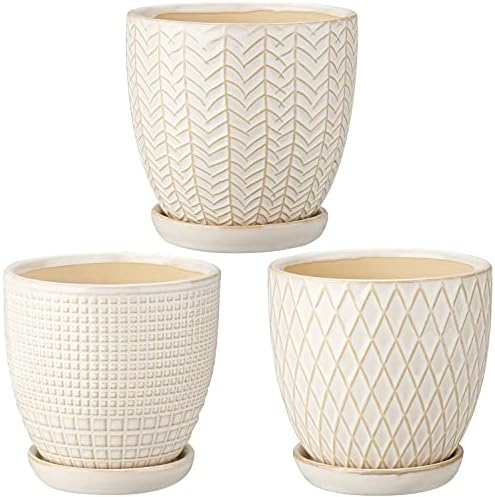 Oairse 4 inches Ceramic Planter Pots 3 Set of Small Round Flower Pots with Drainage Hole and Ceramic Tray for Succulents Cactus Indoor Outdoor Garden Home Windowsill by Oairse