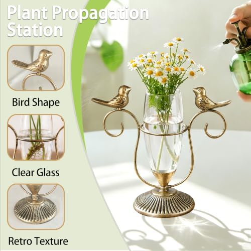 Desktop Hydroponic Glass Propagation Vases for Plants, 8.26"×7.9" - Image 4