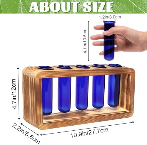 Glass Plant Propagation Station with 5 Test Tubes Colorful Planter Vase - Image 2