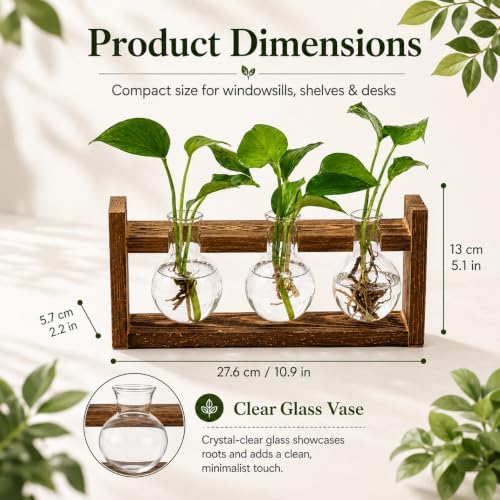 Glass Plant Propagation Station, 3 Glass Bulb Vases - Image 4
