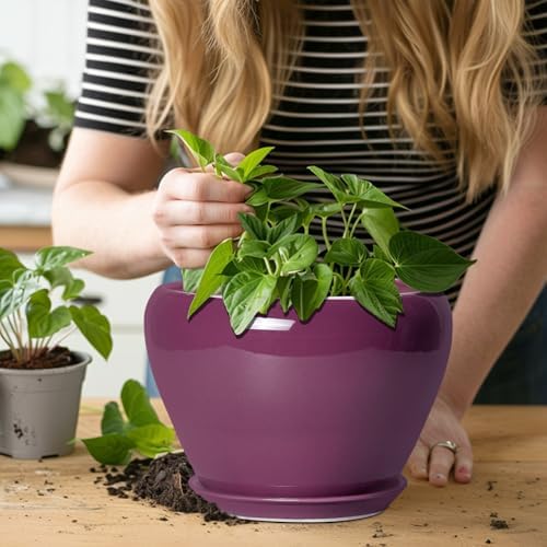 Ceramicfor Ceramic Planter - 8 Inch Plant Pot Indoor with Drainage Hole and Saucer, Glaze Decorative Planter, Round Flower Pot, Plant Lover Gifts, Home Garden Office Decor, Purple - Image 5