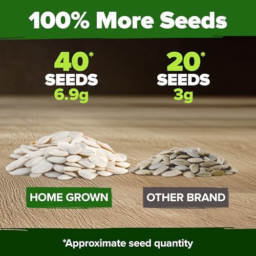 HOME GROWN Pumpkin Mix Seeds, 5 Variety, 40+ Seeds, Cucurbita Pepo - Image 3