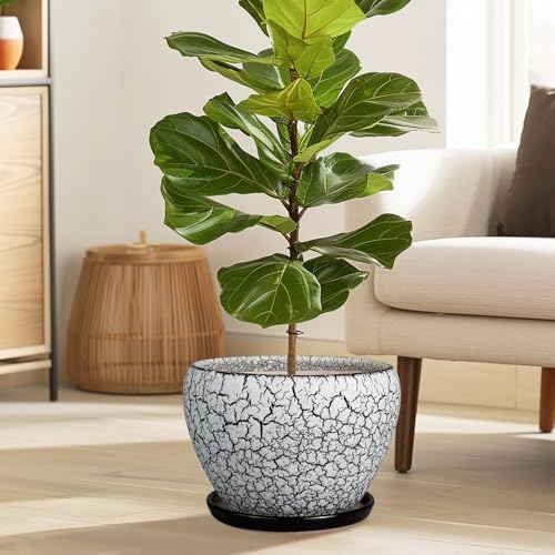 Ceramicfor Ceramic Planters for Indoor Plants - 10 Inch Plant Pot with Drainage Hole and Saucer, Large Flower Pot for Home Decor, White/Black - Image 2