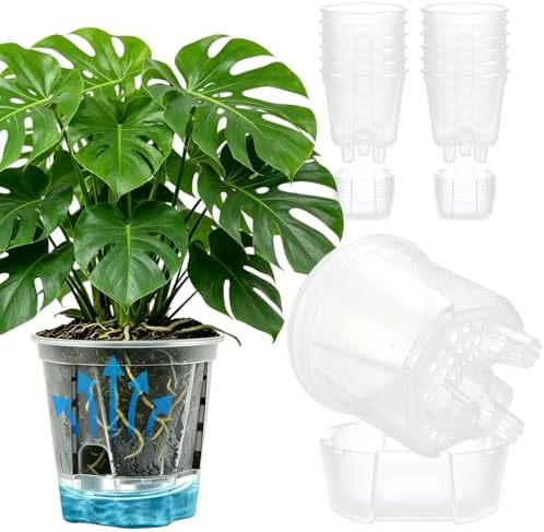 Cdd's Path 6 Inch Clear Self Watering Pots Set, 12 Pack Naked Root Planter with Deep Water Tank, Large Drainage Holes, Reservoir & Air Pipes for Indoor Outdoor Plants, Flowers, Seedlings by Unknown