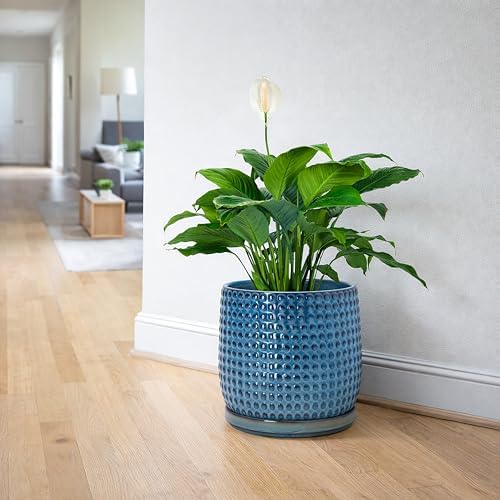 D'vine Dev Beaded Ceramic Pot with Saucer, 8 in, Ocean Teal, 27-C-Q-8 - Image 5