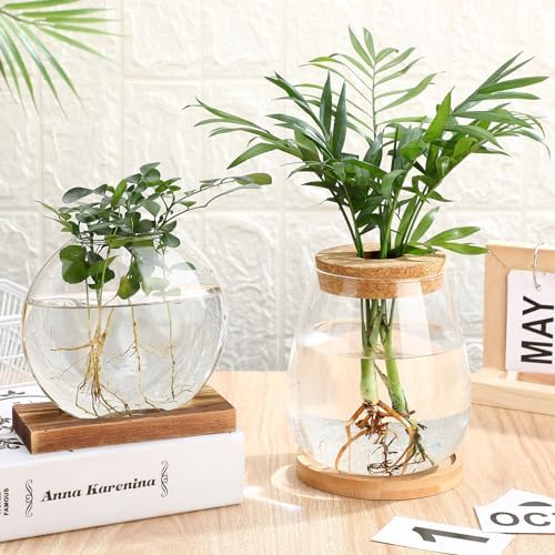 Layhit 4 Pcs Plants Propagation Stations vases Glass Planters with Wooden Lid and Bamboo Stand for Hydroponic Plants Gardening Gifts for Women Mom Home Office Tabletop Decoration(Cute Style) - Image 3