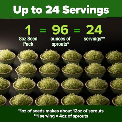 HOME GROWN Alfalfa Sprout Seeds, 8 oz Bulk Pack - Image 3