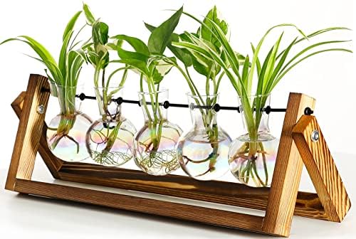 XXXFLOWER Plant Terrarium with Wooden Stand Desk Plant 5 Bulb Vase by XXXFLOWER