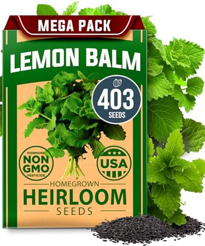 HOME GROWN Lemon Balm Seeds, 403 Seeds, Melissa officinalis by HOMEGROWN
