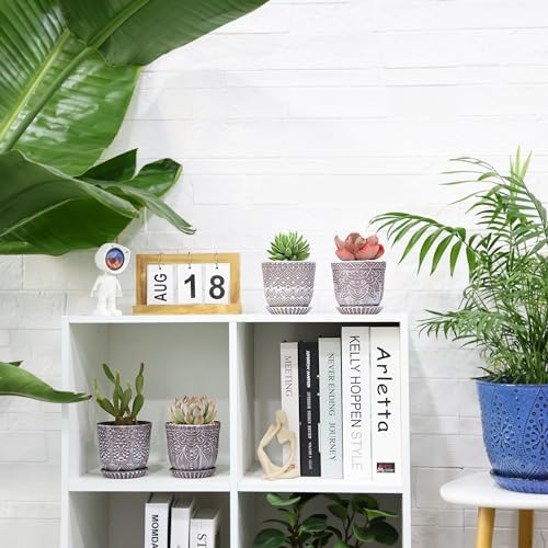 Gepege Ceramic Succulent Pots, 4 Inch Small Plant Pots with Drainage - Image 4