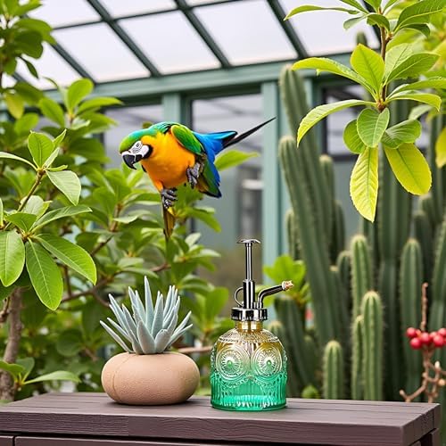 Glass Plant Mister Spray Bottle, 230ML Vintage Plant Spritzer, Succulent Watering Bottle Glass with Top Pump, Small Plants Sprayer Watering Can for Indoor Outdoor House - Image 4