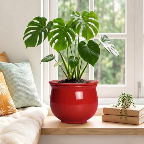 8 Inch Ceramic Self Watering Pots with Absorbent Inner Pot, Red - Image 4