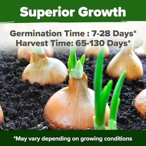HOME GROWN 8 Onion Variety Mix 1600+ Vegetable Seeds Allium cepa - Image 5