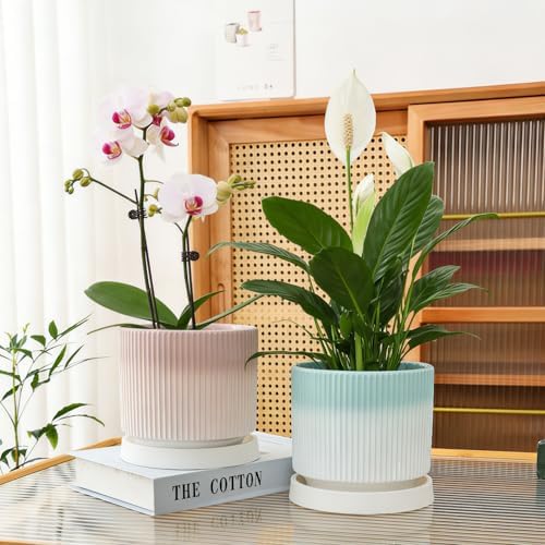 Cuteforyou 5.1 Inch Modern Textured Ceramic Succulent Planter Pot – Perfect for Small Plants, Cacti & Desk Decor – Lightweight & Durable，Blue - Image 5