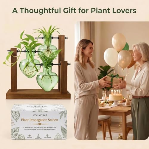 Plant Propagation Station,Wooden Stand with 3 Green Heart Vases - Image 6