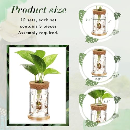 Baderke 12 Pack Propagation Vases for Plants, Classic Style - Image 4