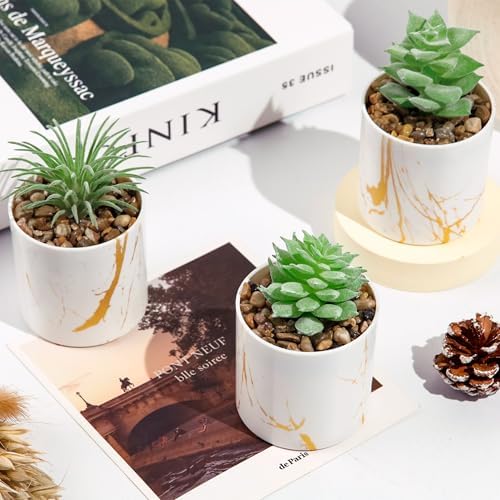 Der Rose 4 Pack Mini Fake Succulents in Pots for Office Desk Accessories - Image 2
