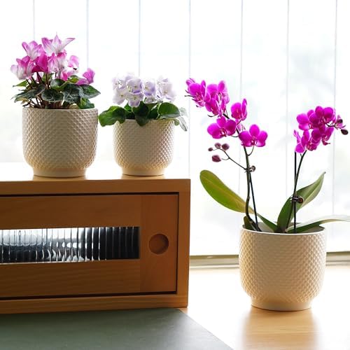 4 + 5 + 6 Inch Ceramic Pots for Indoor Plants, Succulents Plant Pots, Orchid Flower Pot with Drainage Hole, Modern Clay Stoneware Planters, Set of 3 (White, 4+5+6 Inch) - Image 4