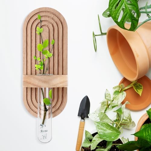 Beeveer 4 Sets Hanging Plant Propagation Stations Walnut Wood Wall Mounted Test Tube Vase Rustic Decorative Glass Planter Holder Gift for Women Plant Lover Hydroponic Flowers Home and Office Decor - Image 6
