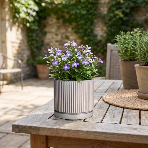 Ceramic Planter, 4 Inch Plant Pots, Round Pots for Plants, Grey - Image 7