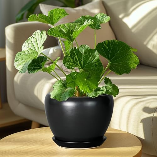 Ceramicfor Ceramic Planter Pot - 8 Inch Plant Pot with Drainage Hole and Saucer Round Planter for Indoor Plants Modern Outdoor Flower Pot for House Balcony Black - Image 7