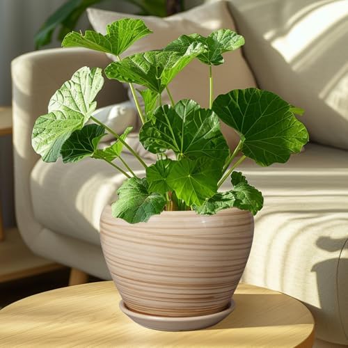 Ceramicfor Planter Pot 8 Inch, Ceramic Pot for Plants, Yellow - Image 7