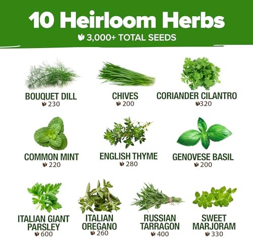 HOME GROWN 10 Herb Variety Pack 3000+ Seeds Extra Large Culinary Kit - Image 3