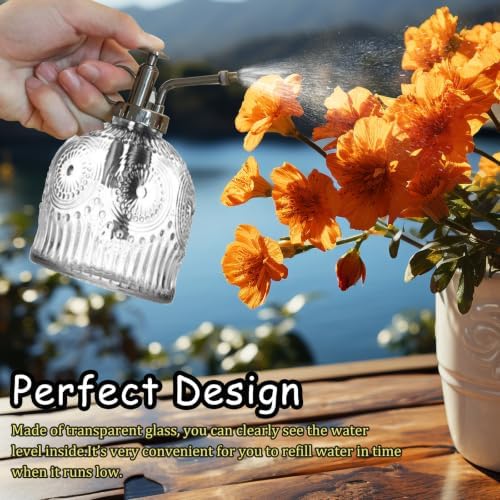 Plant Mister Glass Watering Can Bottle (7.78 oz, Transparent) - Image 5
