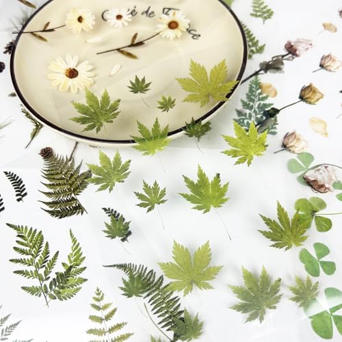 400PCS Plants Floral Scrapbook Stickers Kit Vintage Fern Flowers Green Transparent Waterproof Stickers Book for Scrapbooking Supplies Aesthetic Junk Journal Journaling Craft 20-Page - Image 4