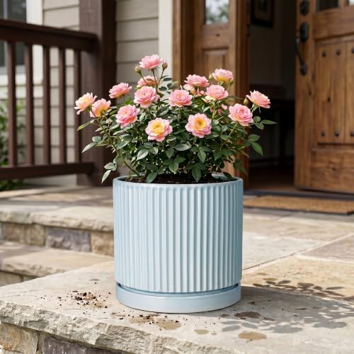10 Inch Plant Pot, Ceramic Pots for Plants with Tray, Light Blue - Image 7