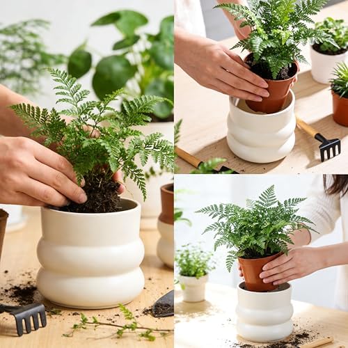 Ceramic Plant Pot,6 Inch Planters for Indoor Plants,Ceramic Planter Flower Pots with Drainage Hole,Home Office Garden Décor,(Pale Beige,Inner-pots not Larger Than 5 Inch) - Image 7
