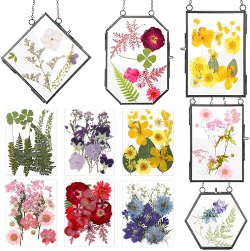 Bucherry 5 Pcs Glass Frame for DIY Pressed Flowers Art Brass Hanging Photo Picture Frame with Chain and 6 Styles Pressed Flowers Collage Glass Craft Frames for Wall Decor Display Gallery (Black) by Bucherry