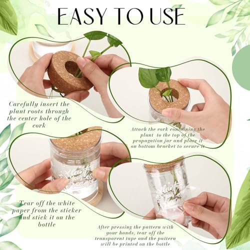 Baderke 12 Pack Plant Propagation Jars Cork Lids Bamboo Stand,Awesome - Image 3