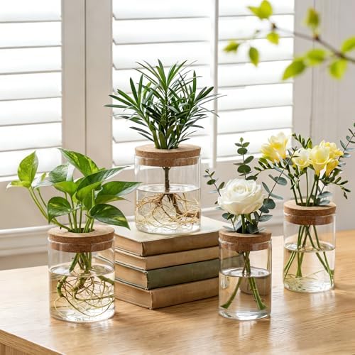 Dahey 4Pcs Glass Plant Propagation Station, 2 Large Vases & 2 Small Pots - Image 2