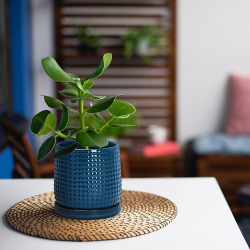 D'vine Dev Beaded Ceramic Pot with Saucer, 4 in, Midnight Blue, 27-C-Z-3 - Image 2