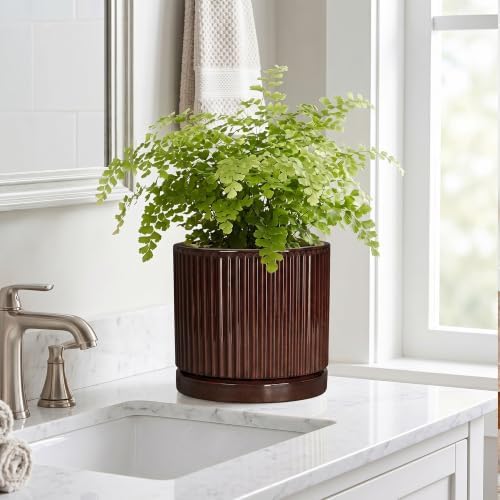 8 Inch Ceramic Flower Pots, Round Planter with Saucer, Brown - Image 7