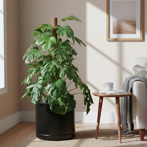 D'vine Dev 16 Inch Ceramic Planter Pot, Black, 94-O-H-2 - Image 5