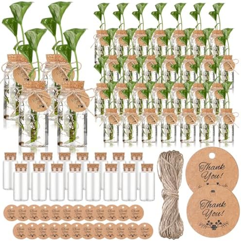 Baderke 48 Pack 3.54'' Plastic Plant Propagation Stations with Hole Lid by Baderke
