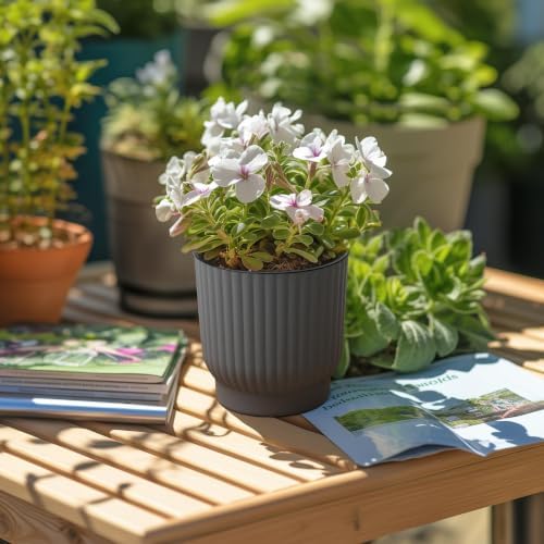 T4U Self Watering Pots for Indoor Plants, 4 Inch 6 Pack Planter Gray - Image 7