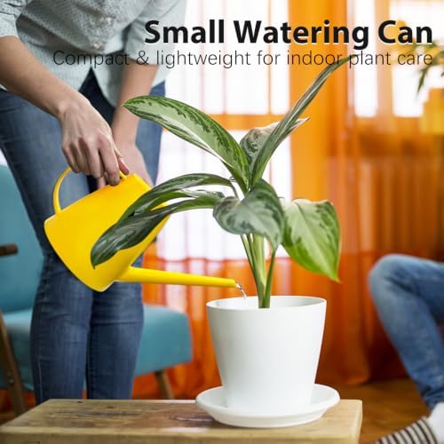 60 oz Watering Can, Watering Can Indoor Plants, Long Spout Small Water Can - Image 3