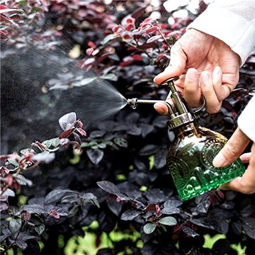 Glass Plant Mister Spray Bottle 200ML Watering Bottle with Top Pump Watering Can for Indoor Outdoor House Plants,Flowers (Brown-Green) - Image 5