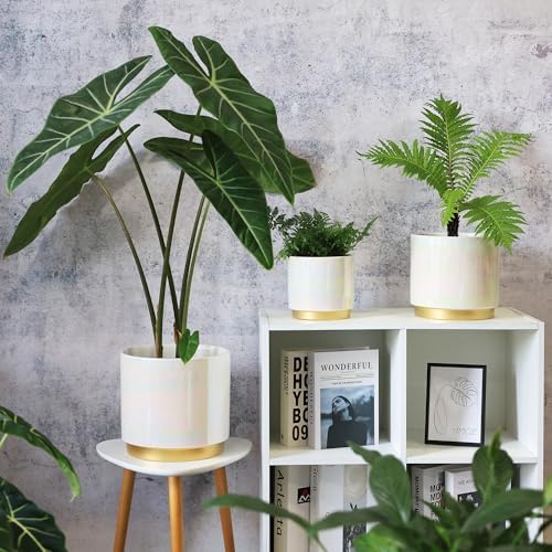 Gepege White Indoor Plant Pots for Plants, Large Ceramic Planter with Drainage Hole, 9.6-inch Succulent Orchid Flower Pot - Rainbow Pearl Glaze - Image 7