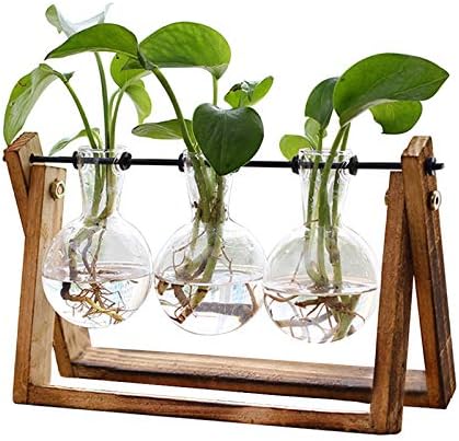 XXXFLOWER Plant Terrarium with Wooden Stand, Air Planter Bulb Glass Vase Metal Swivel Holder Retro Tabletop for Hydroponics Home Garden Office Decoration - 3 Bulb Vase by XXXFLOWER