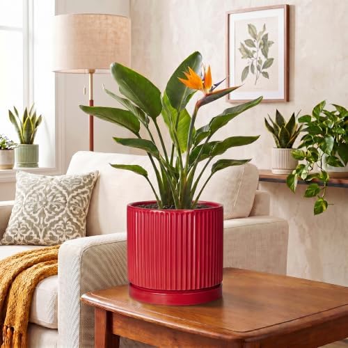 Ceramic Pots for Plants, 8 Inch Plant Pots with Saucer, Red - Image 6