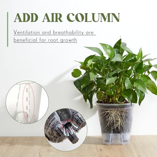Wonderjune Self Watering Planter, 4.72'', Clear, 3 Pcs - Image 4