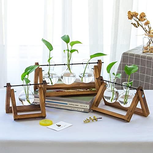Kingbuy Glass Desktop Planter with Retro Wooden Stand, 2 Bulbs - Image 2