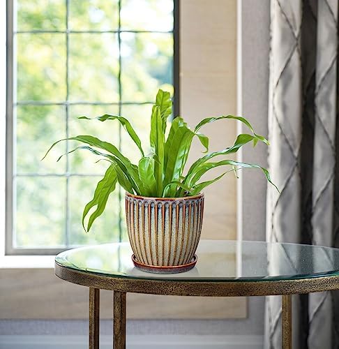 Oairse Ceramic Pots for Indoor Plants, 4.9 +5.7 inch Set of 2 Brown Plant Pots with Drainage Holes and Saucers Texture Ceramic Planters Indoor Outdoor Flower Planters for Succulent - Image 2