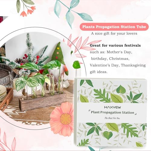 KAXYEW Desktop Glass Plant Propagation Station Test Tube Plant Terrarium in Wooden Stand for Hydroponic Plants Cutting Office Home Decoration Gift for Women (5 Test Tubes-BR) - Image 3