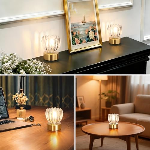 Shenmoyl Cordless Small Table Lamp with 5200mAh Battery & Touch Control, Battery Operated Tulip Table Lamp with 3 Colors, Rechargeable Mini Table Lamps for Bedsides, Bedroom, Nightstand (Transparent) - Image 5