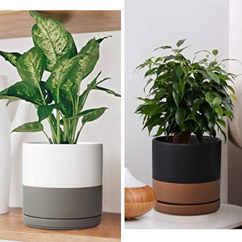 D'vine Dev Set of 2 Plants Pots, 6 Inch Ceramic Planter Pot for Plants with Drainage Hole and Saucer, White-Grey/Black-Tan, 94-V-C-C - Image 2